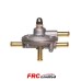Fuel Pressure Regulator Injection to Carburettor
